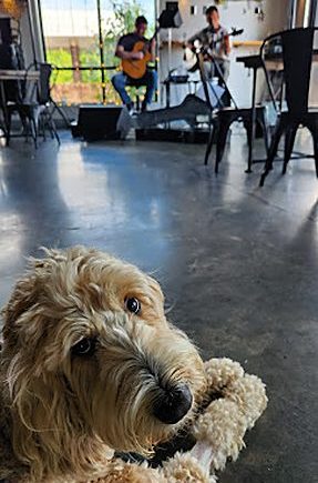 wth-reel-06-dog